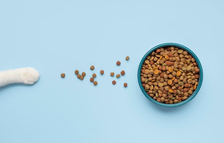 PET FOOD Pet Food at Wholesale Prices. CTA: [BUY NOW]